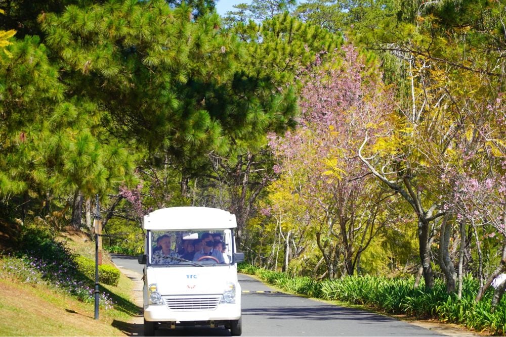 M&ugrave;a xu&acirc;n tại Thung lũng T&igrave;nh Y&ecirc;u ngập tr&agrave;n trong sắc hồng mộng mơ của hoa anh đ&agrave;o